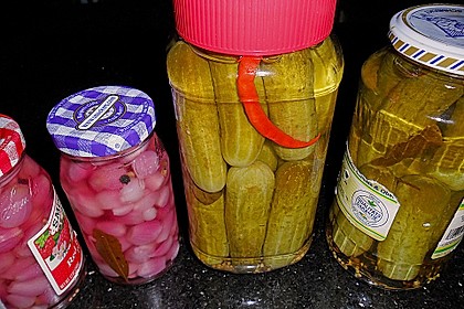 Senfgurken 4