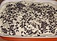 Kirsch Tiramisu