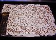 Pfirsich - Schmand - Kuchen