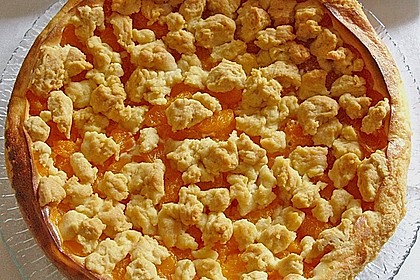 Kr&uuml;mel - Quark - Kuchen 1