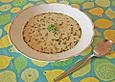 Fenchelcremesuppe