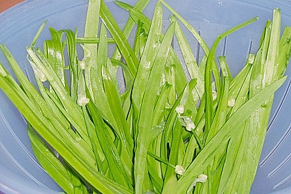 Bärlauchbutter 31