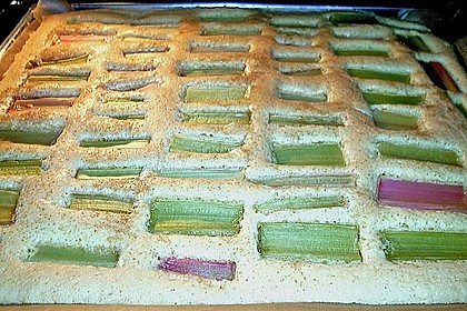 Rhabarberkuchen 11