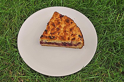 Kirsch-Streuselkuchen 49