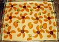 K&auml;se - Kuchen mit Kirschen und Mandarinen