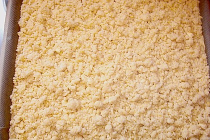 Butter - Hefe - Streuselkuchen mit Sahne 5
