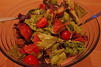 Italienischer Brotsalat 27