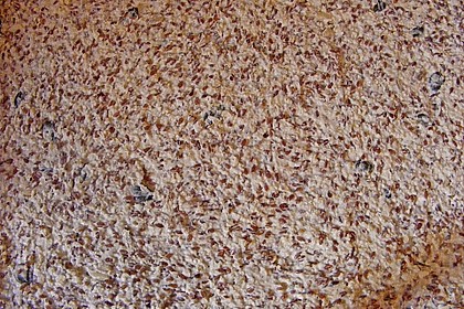 Kerniges Knäckebrot 93