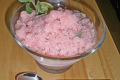 Cranberry - Sorbet mit Wodka