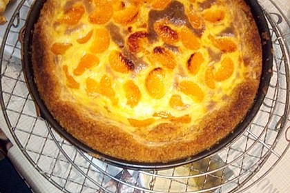 Mandarinen-Schmand-Kuchen 42