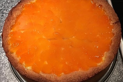Mandarinen-Schmand-Kuchen 35