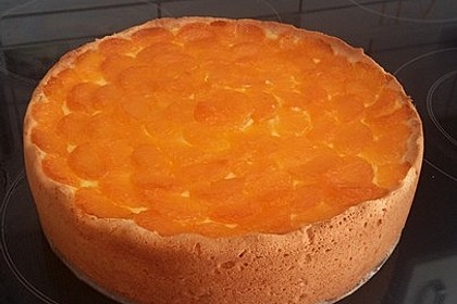 Mandarinen-Schmand-Kuchen 33