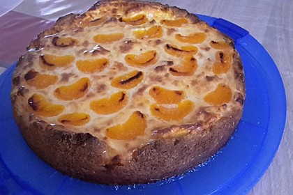 Mandarinen-Schmand-Kuchen 40