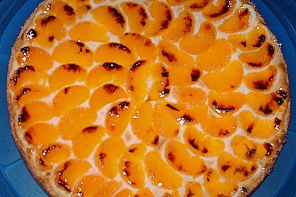 Mandarinen-Schmand-Kuchen 159