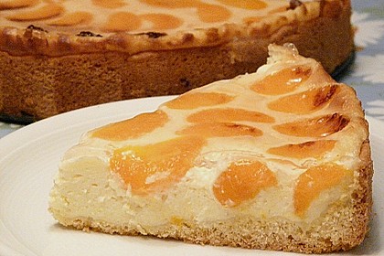 Mandarinen-Schmand-Kuchen 50