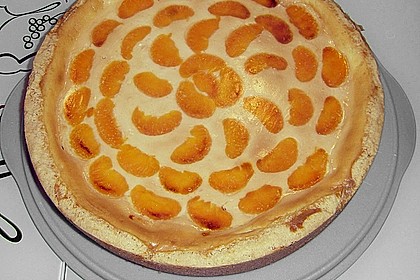 Mandarinen-Schmand-Kuchen 56