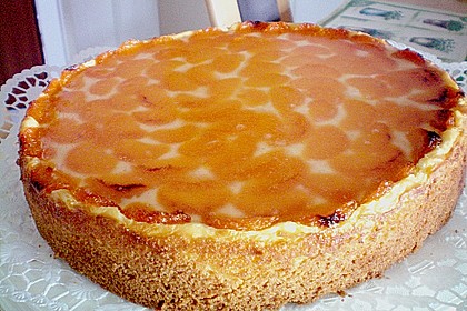 Mandarinen-Schmand-Kuchen 100