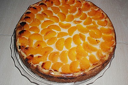 Mandarinen-Schmand-Kuchen 90