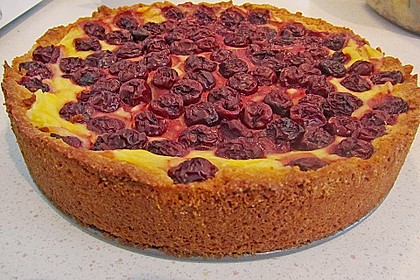 Mandarinen-Schmand-Kuchen 155