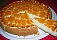 Mandarinen - Schmand - Kuchen
