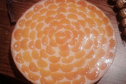 Mandarinen-Schmand-Kuchen 82