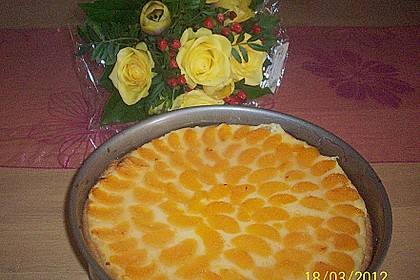 Mandarinen-Schmand-Kuchen 101