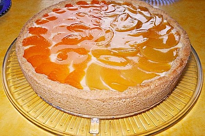Mandarinen-Schmand-Kuchen 130