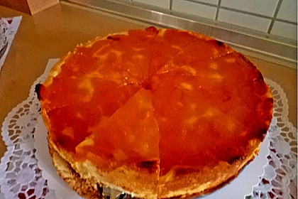 Mandarinen-Schmand-Kuchen 162