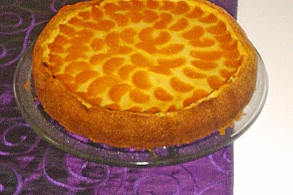 Mandarinen-Schmand-Kuchen 114
