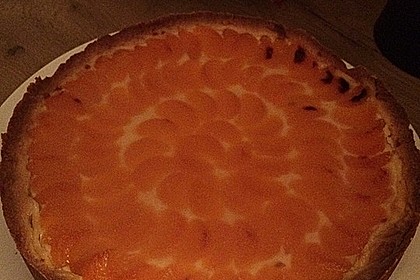Mandarinen-Schmand-Kuchen 29