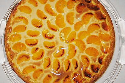 Mandarinen-Schmand-Kuchen 95