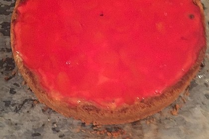 Mandarinen-Schmand-Kuchen 165