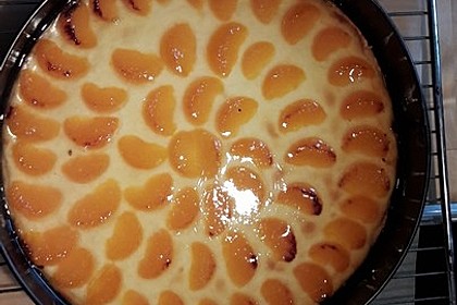 Mandarinen-Schmand-Kuchen 43