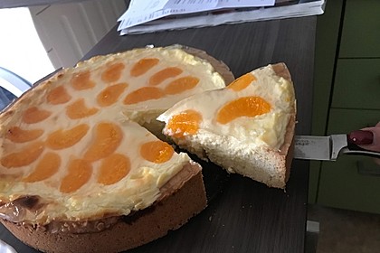 Mandarinen-Schmand-Kuchen 38