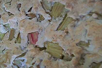 Rhabarberkuchen mit Nussbaiser 32