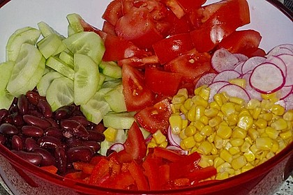 Bunter Salat 28