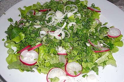 Bunter Salat 22