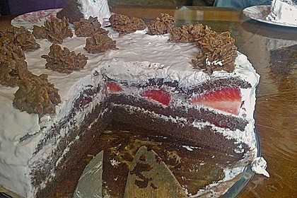 Erdbeer - Crunch - Torte 18