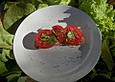 R&ouml;stbrot mit Tomaten