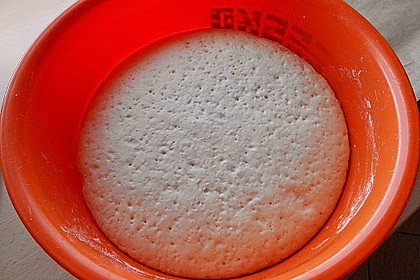 Pizzateig 36