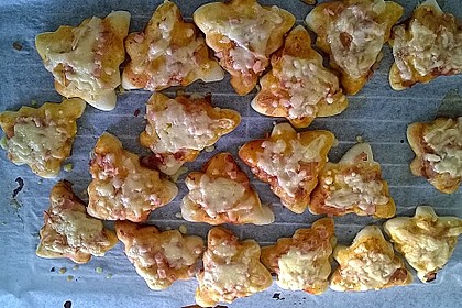 Pizzateig 12