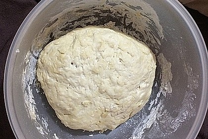 Pizzateig 11