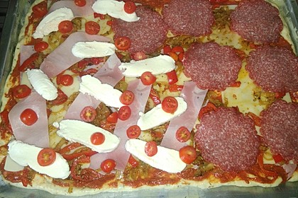 Pizzateig 15