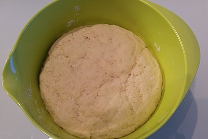 Pizzateig 20