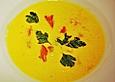 R&uuml;bensuppe mit Lachsw&uuml;rfeln