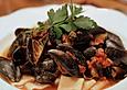 Miesmuscheln im Orangen - Fenchel - Sud