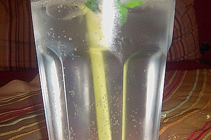 Gin Fizz