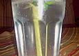 Gin Fizz