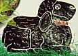 Schokokuchen