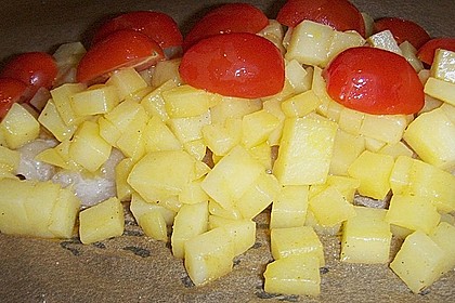 Pangasius aus dem Pergament 65